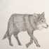 loup